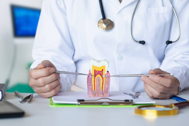Best Emergency Dentist for Knocked-Out Tooth in Shady Spring, WV